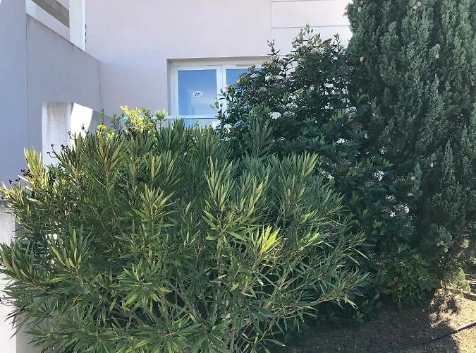 Maisonnette 6 Pers Proche L'ile Rousse Apartment *